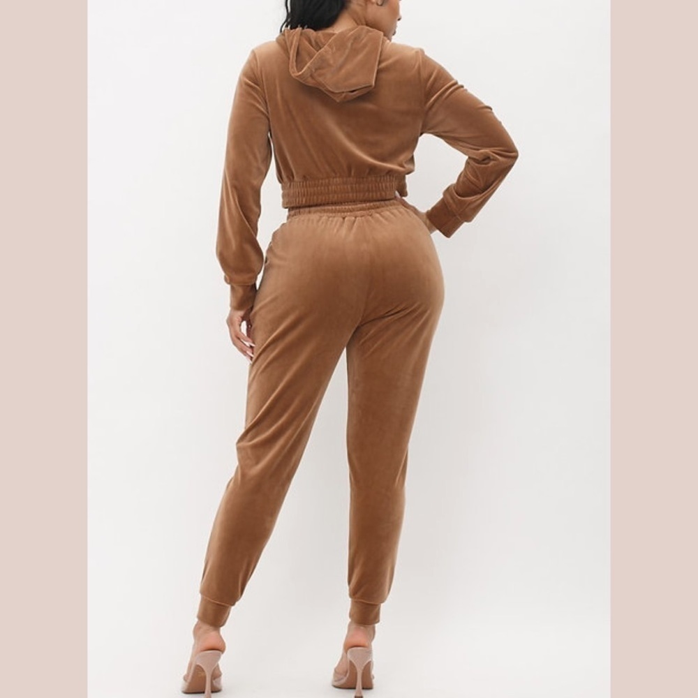 Brown Velour Jogger Set With Crop Hoodie - Picture 4 of 10